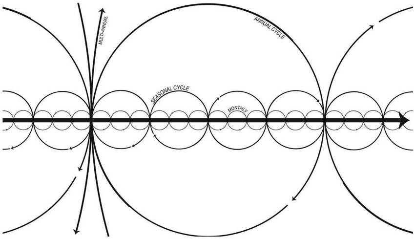'Cyclical time break'